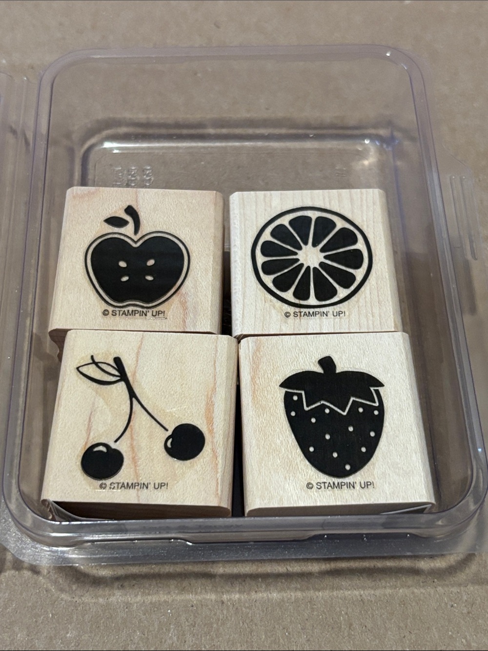 Stampin' Up! Vintage Stamp Set Tart and Tangy